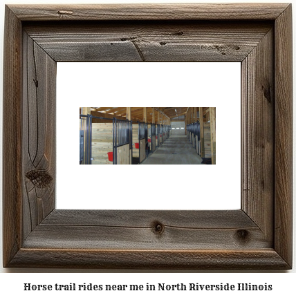 horse trail rides near me in North Riverside, Illinois